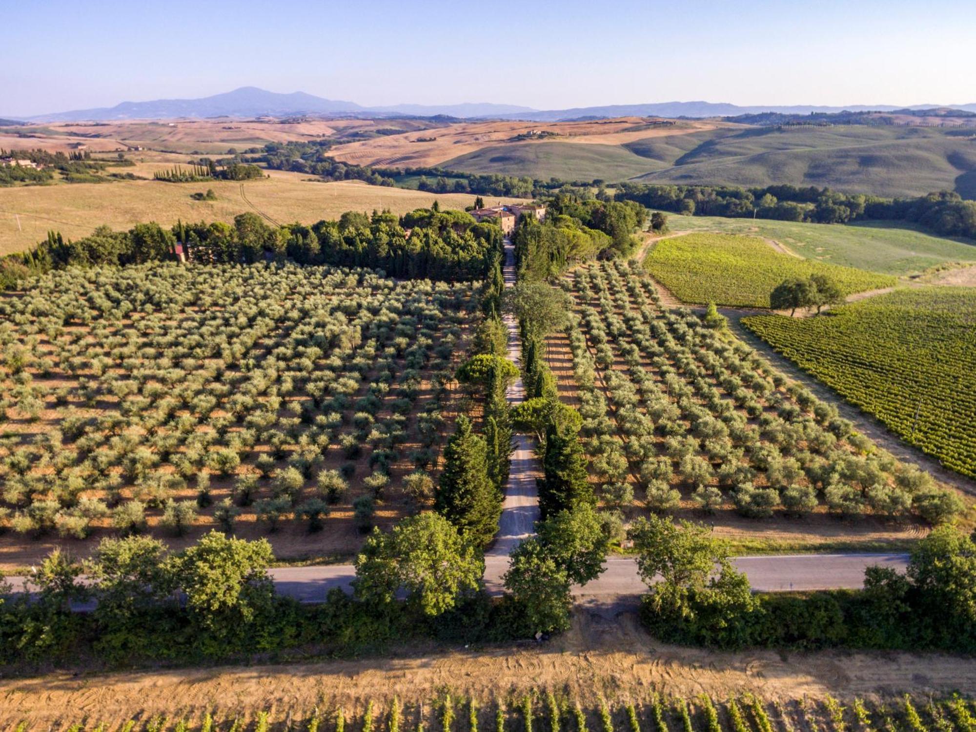 Agriturismo Pometti - Fattoria La Selva Trequanda Extérieur photo
