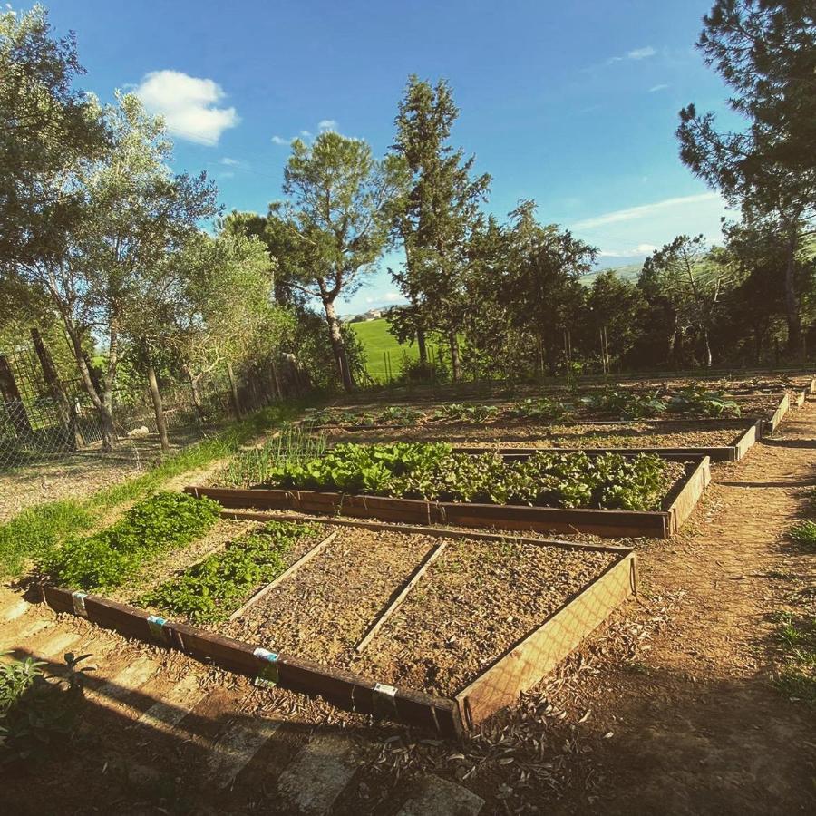 Agriturismo Pometti - Fattoria La Selva Trequanda Extérieur photo